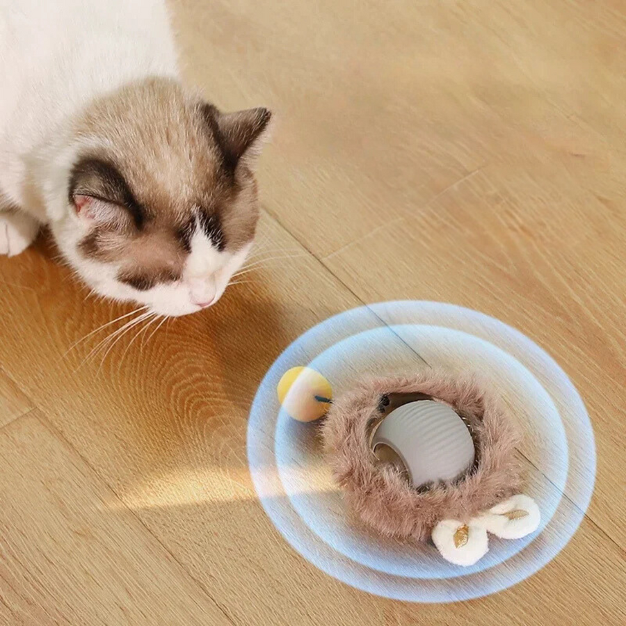 WuselBall™ – Der wilde Rollspaß für Katzen