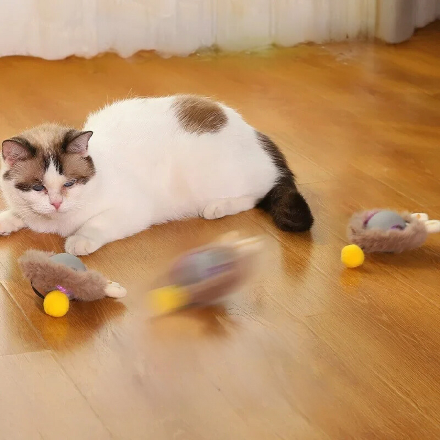 WuselBall™ – Der wilde Rollspaß für Katzen
