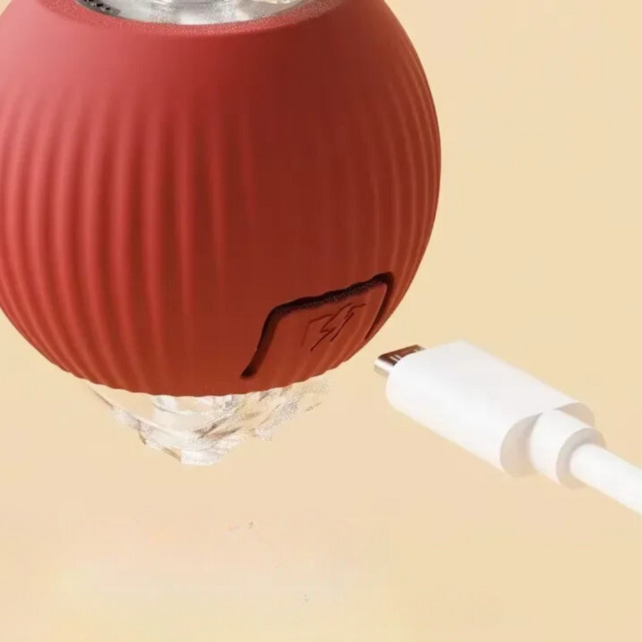 WuselBall™ – Der wilde Rollspaß für Katzen